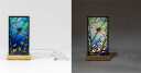 Acrylic Dragonfly Night Light