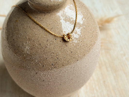 Agaveh Girl -Prairie Necklace