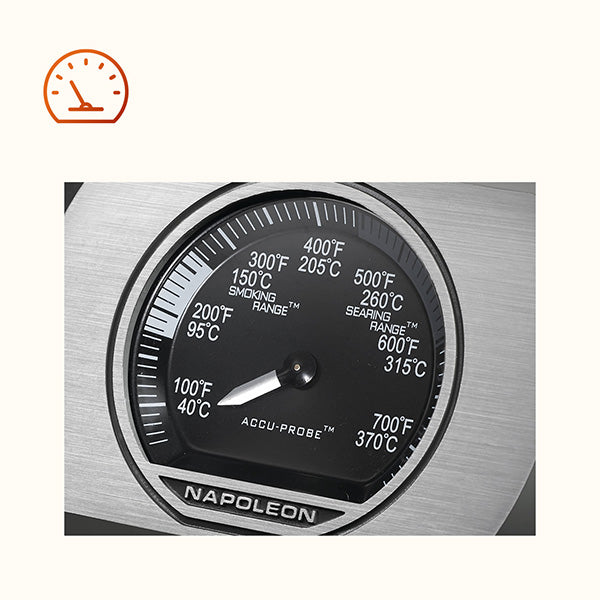 Napoleon - AMBIANCE ROGUE PRO 425 SIB  -Gray